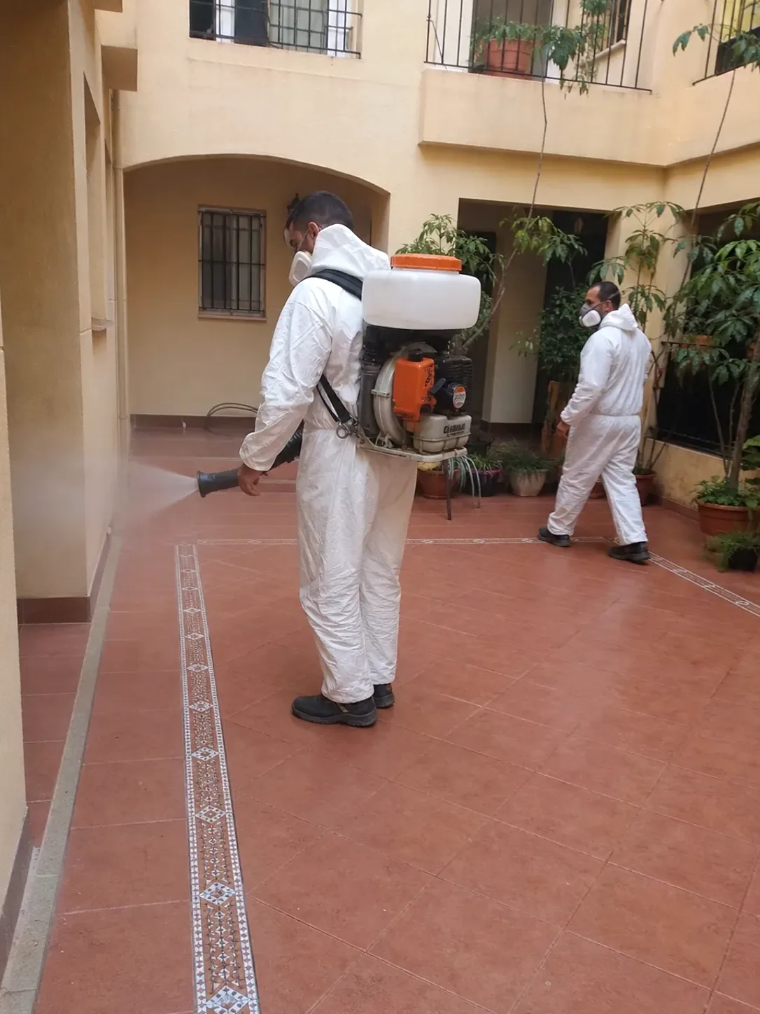 Técnicos de RipolPlagas aplicando un tratamiento de fumigación