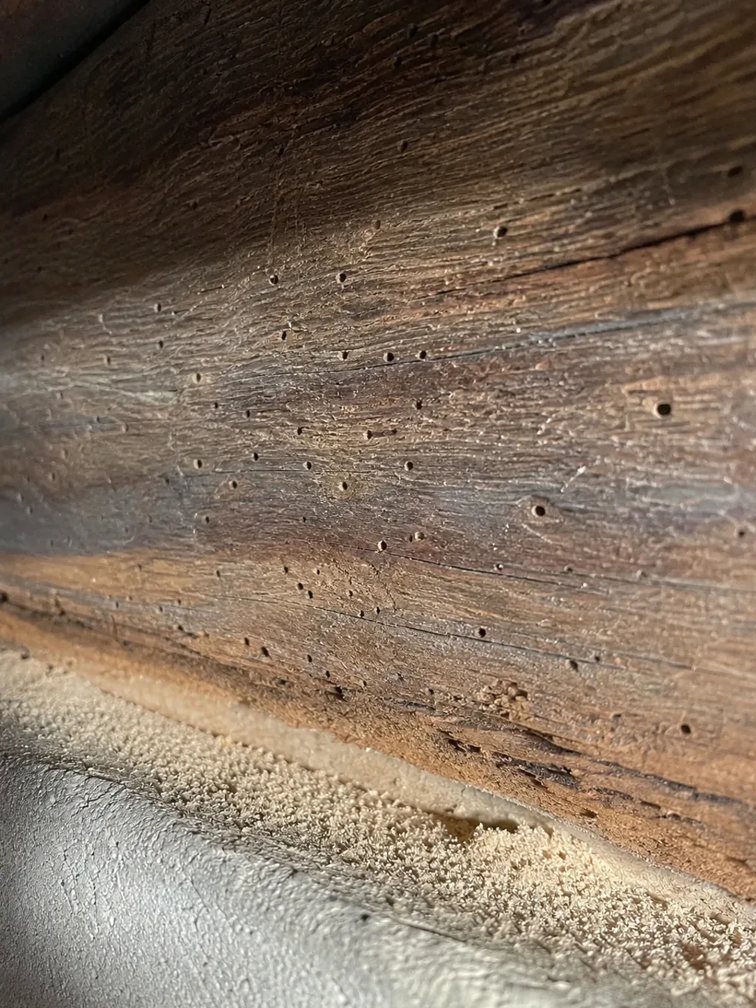 Tratamiento de carcoma en vigas de madera