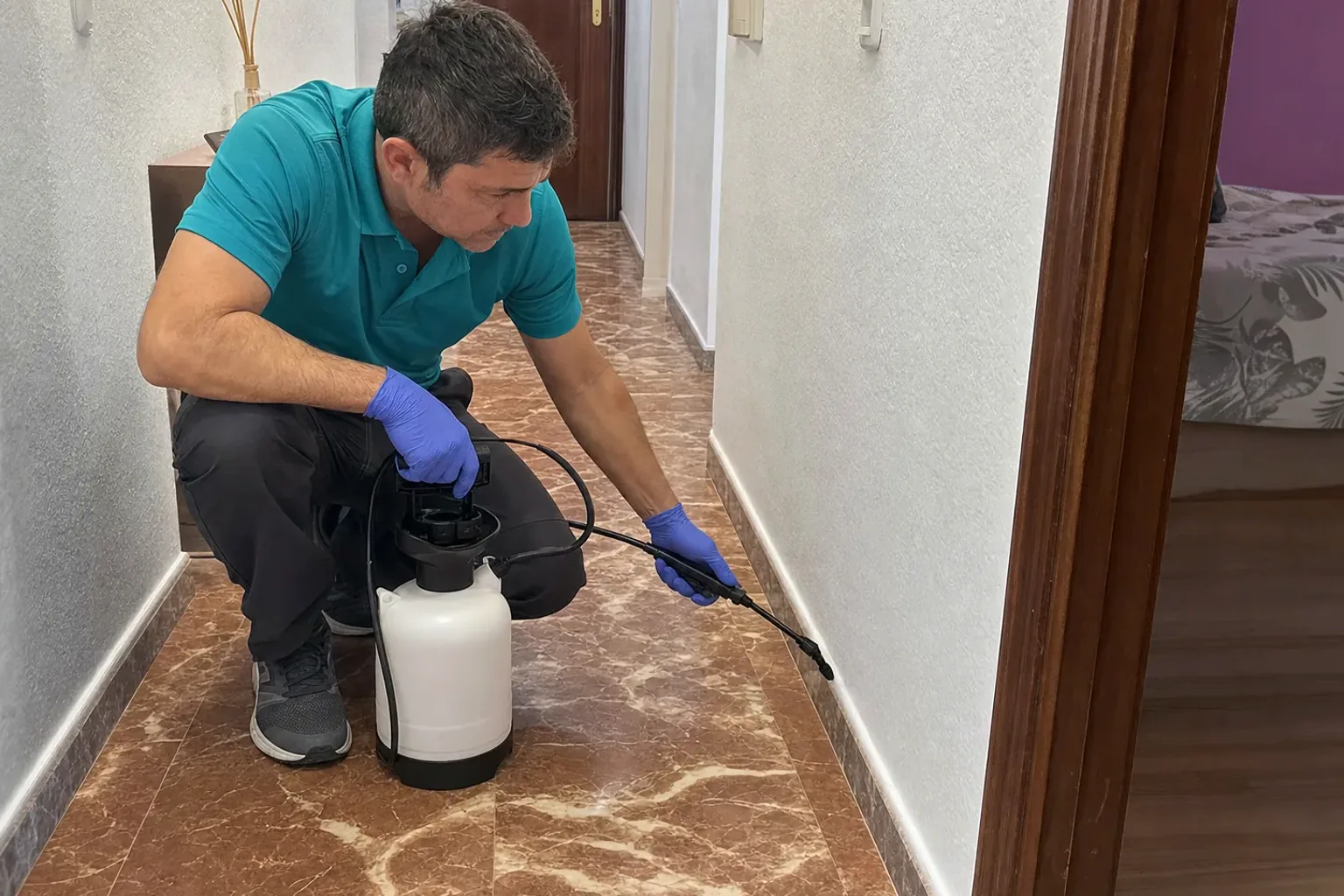 Desinsectación en Ripollet — RipolPlagas
