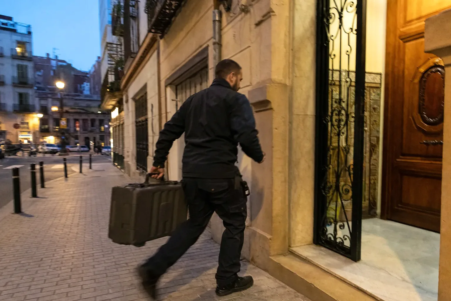 Urgencias de plagas en Ripollet — RipolPlagas